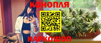 мдпв Партизанск