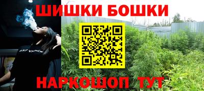 мдпв Партизанск