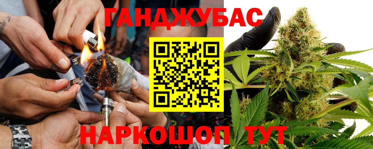 Бошки марихуана семена  Шишки марихуана сатива  Сибай  Вход с VPN  МАРИХУАНА OG Kush  Конопля White Widow 